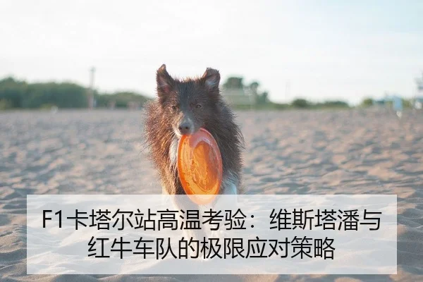 F1卡塔尔站高温考验：维斯塔潘与红牛车队的极限应对策略